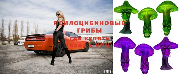 марки lsd Инта